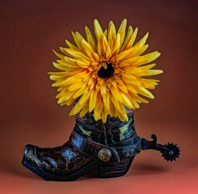 Bottes de récupération