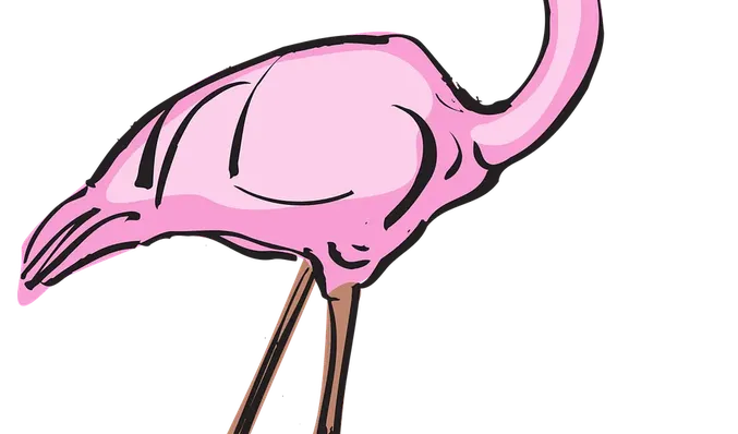 Leg Pumps for Lymphedema.png