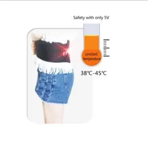 Infrarouge taille électrique chauffage coussins chauffants Pad pour douleurs lombaires